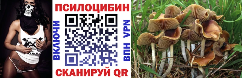 Псилоцибиновые грибы мицелий  blacksprut онион  Лодейное Поле 